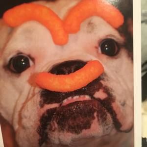 Meet your Posher, Derek